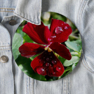 Raindrops on pansy 6 cm round badge