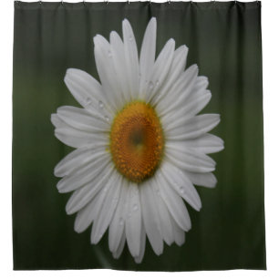 Raindrops on Petals Shower Curtain