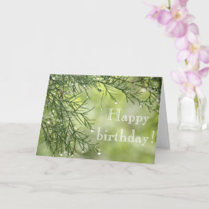 Raindrops on Pine Birthday Card