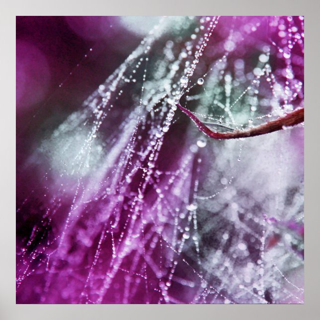 Raindrops on Purple Cobweb Macro Abstract Poster (Front)