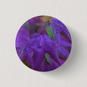 Raindrops on Purple Leaves 3 Cm Round Badge