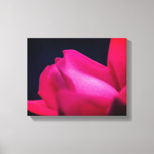 Raindrops On Red Rosebud  Canvas Print