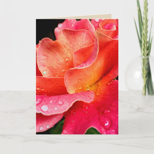 Raindrops on Rose Petals Greeting Card - Colour (Front)