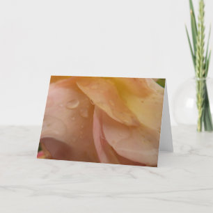 Raindrops on Rose Petals Pink Peach Floral Card