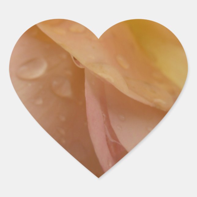 Raindrops on Rose Petals Pink Peach Floral Heart Sticker (Front)