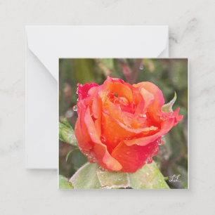 Raindrops On Roses Card