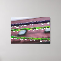 Raindrops on strings