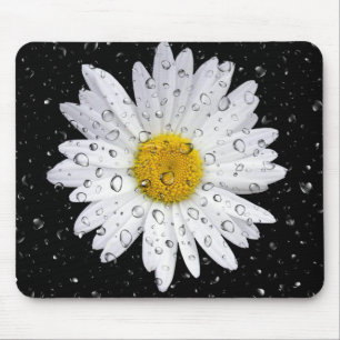 raindrops on white daisy mouse mat