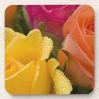 Raindrops on Yellow Orange and Pink Roses Coaster