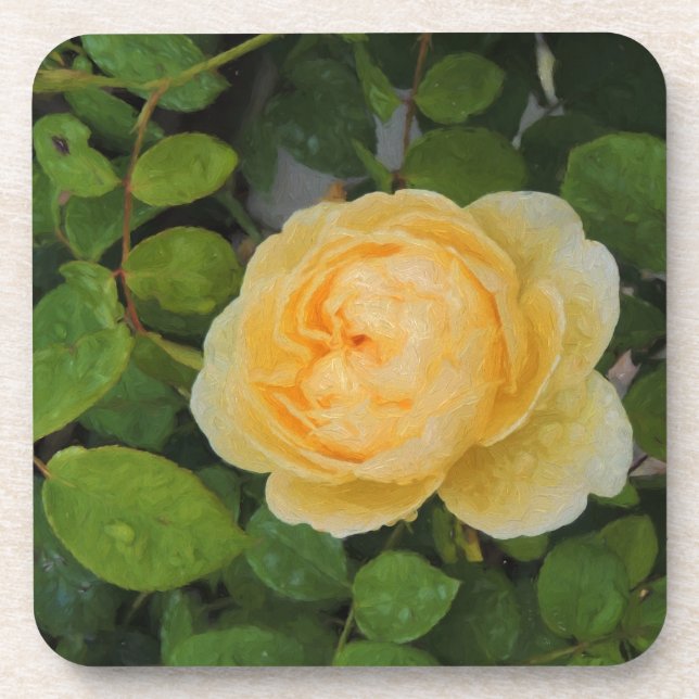 Raindrops on Yellow Rose Coaster (Front)