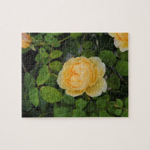 Raindrops on Yellow Rose Jigsaw Puzzle