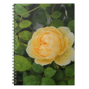 Raindrops on Yellow Rose Notebook