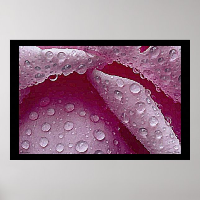 Raindrops Poster (Front)