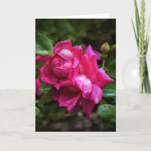 Raindrops & Red Roses, card