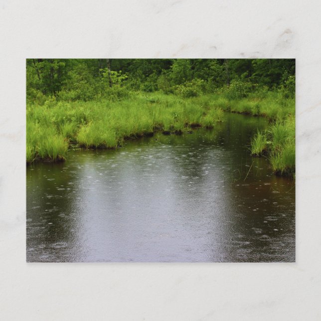 Raindrops Summer 2016 Postcard (Front)