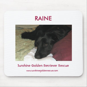 Raine - SunshineGolden Retriever Rescue Mouse Mat