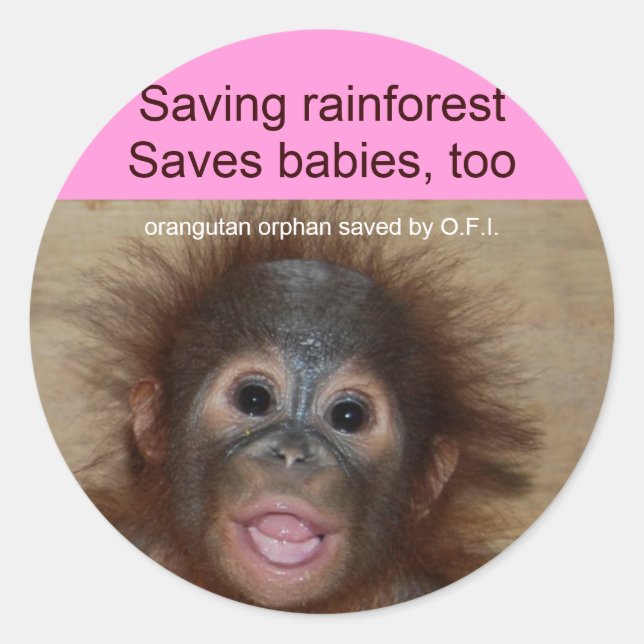 Rainforest Baby Orangutan Classic Round Sticker (Front)