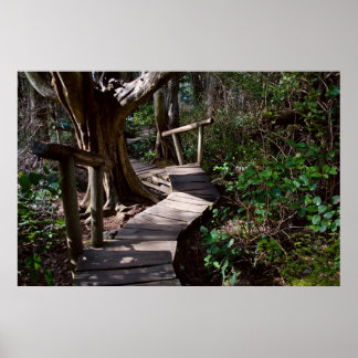 Rainforest Boardwalk with Steps Print