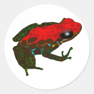 Rainforest Dart Frog Classic Round Sticker