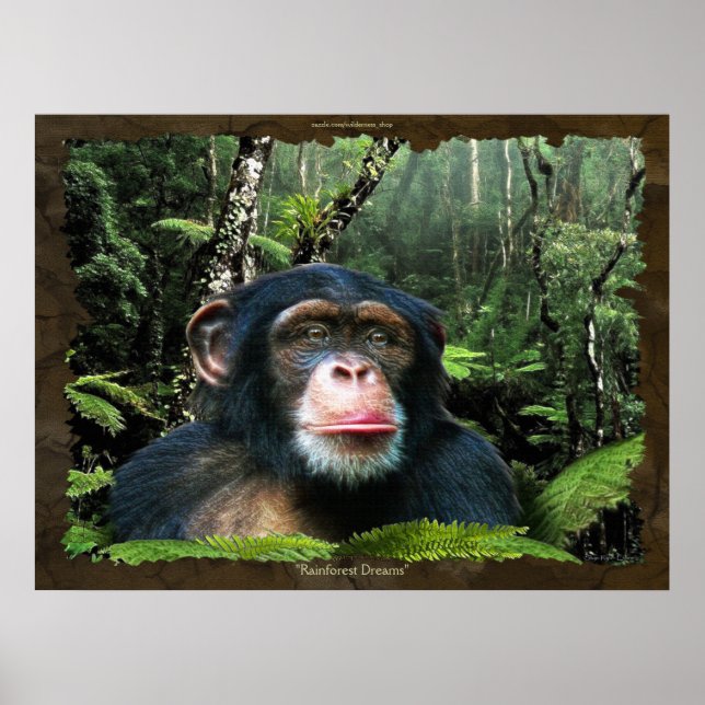 "RAINFOREST DREAMS II" Chimpanzee Art Poster (Front)