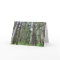 Rainforest Greeting Card