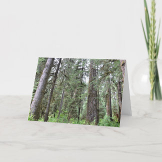 Rainforest Greeting Card
