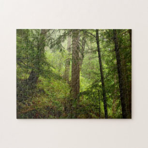 Rainforest in Olympic National Park Photo Jigsaw Puzzle