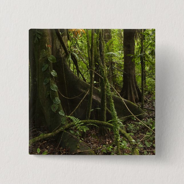 Rainforest, Mapari River North Rupununi, 15 Cm Square Badge (Front)
