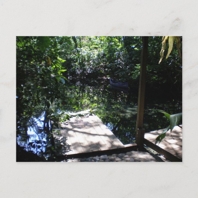 Rainforest Postcard (Front)