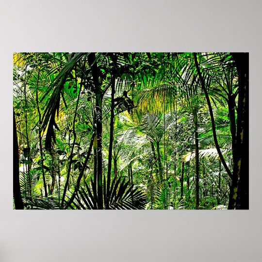 Rainforest Poster 