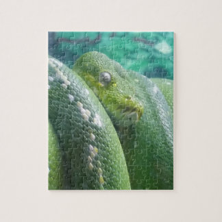 Rainforest snake puzzle