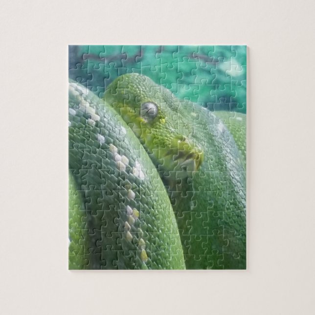 Rainforest snake puzzle (Vertical)