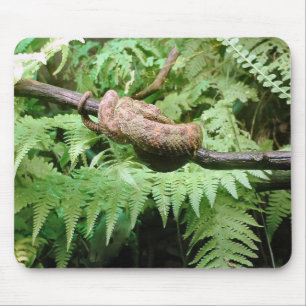 Rainforest Snake Wrap - mousepad