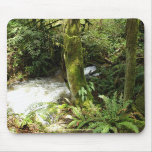 Rainforest Stream Wilderness Nature Photo Mousepad