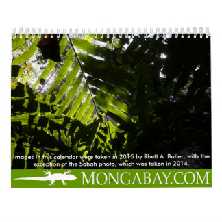 Rainforest trees calendar
