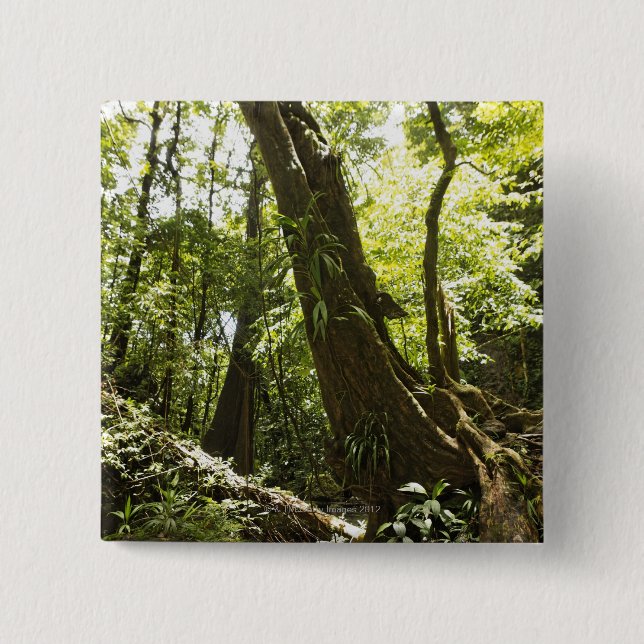rainforest view, Dominica 15 Cm Square Badge (Front)