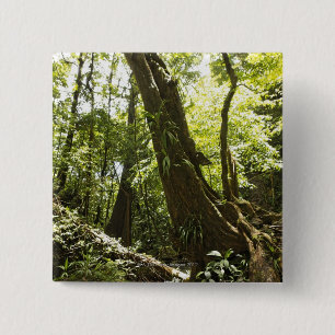 rainforest view, Dominica 15 Cm Square Badge