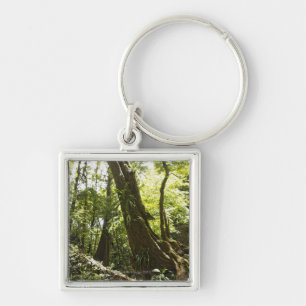 rainforest view, Dominica Key Ring