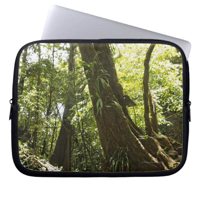 rainforest view, Dominica Laptop Sleeve (Front)