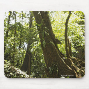 rainforest view, Dominica Mouse Mat