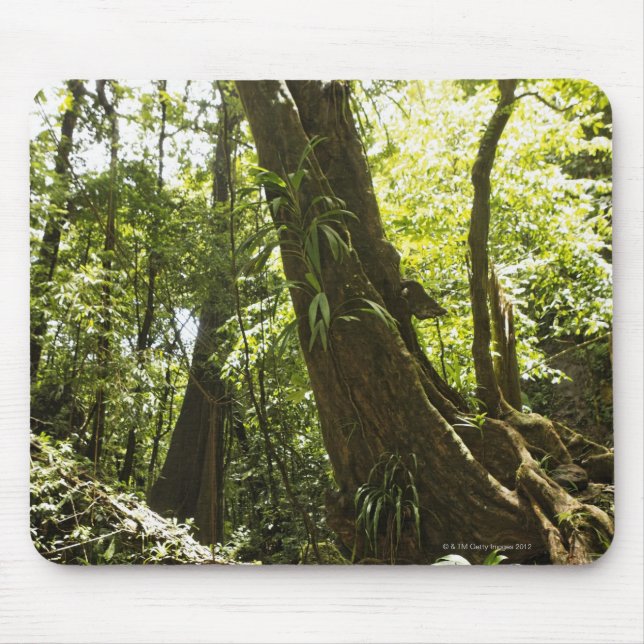 rainforest view, Dominica Mouse Mat (Front)