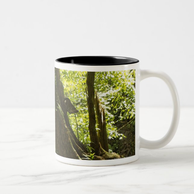 rainforest view, Dominica Two-Tone Coffee Mug (Right)