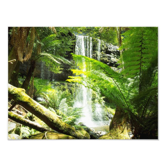 Rainforest Waterfall Photo Print (Front)