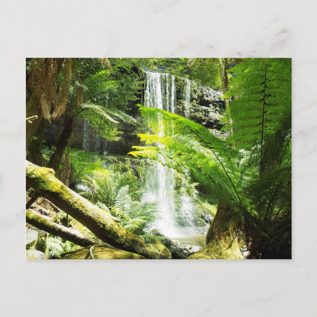 Rainforest Waterfall Postcard (Front)