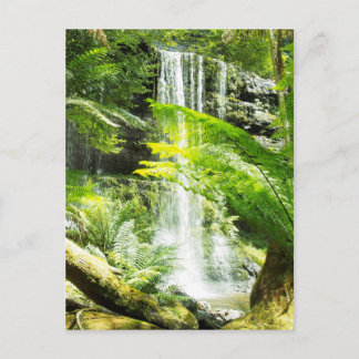 Rainforest Waterfall Postcard