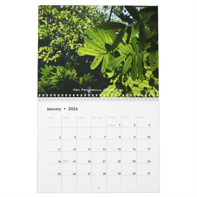 Rainforests Calendar (Jan 2026)