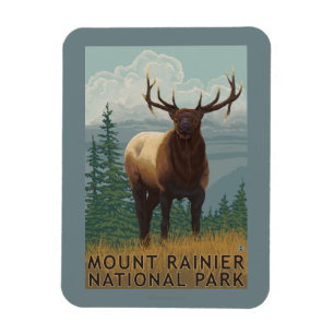 Rainier National Park, WashingtonElk Scene Magnet