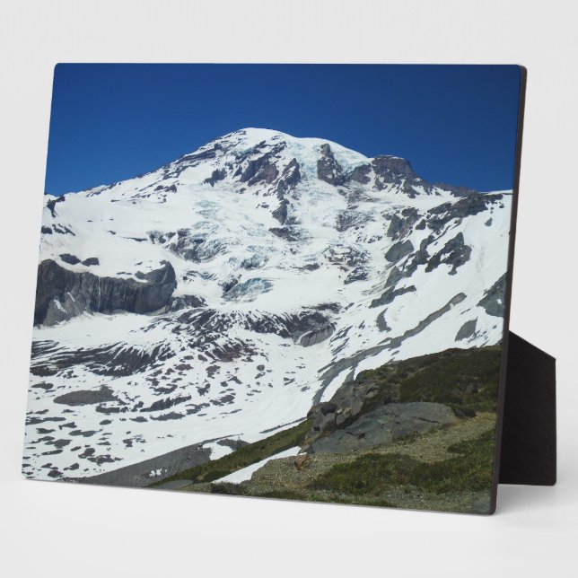 Rainier P555 Plaque (Side)