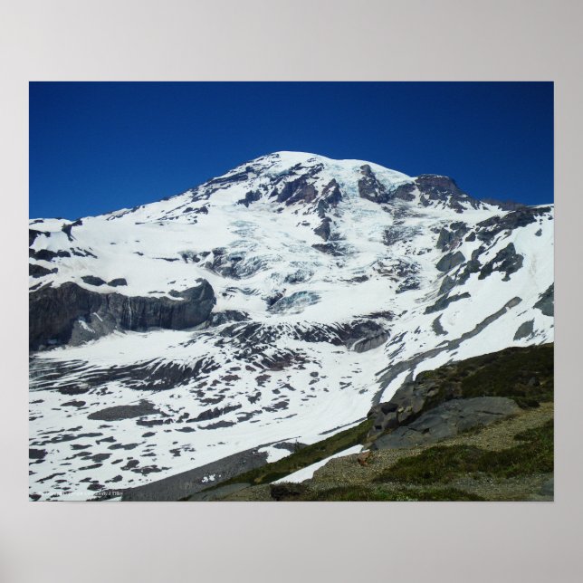 Rainier P555 Poster (Front)