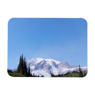 Rainier PDSC213 Magnet